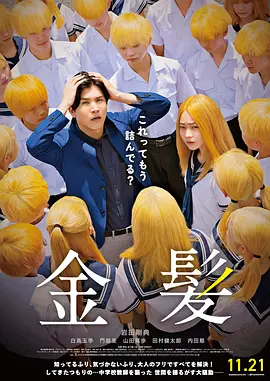 视频一区二区免费